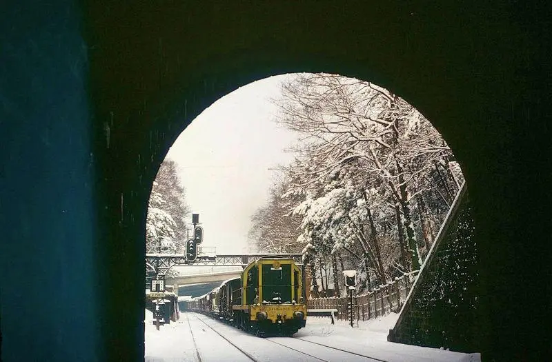 Train de marchandises dans la tranchée du parc des Buttes-Chaumont 