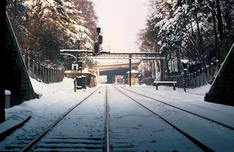 Tranchée du parc des Buttes-Chaumont à la fin des années 1960 