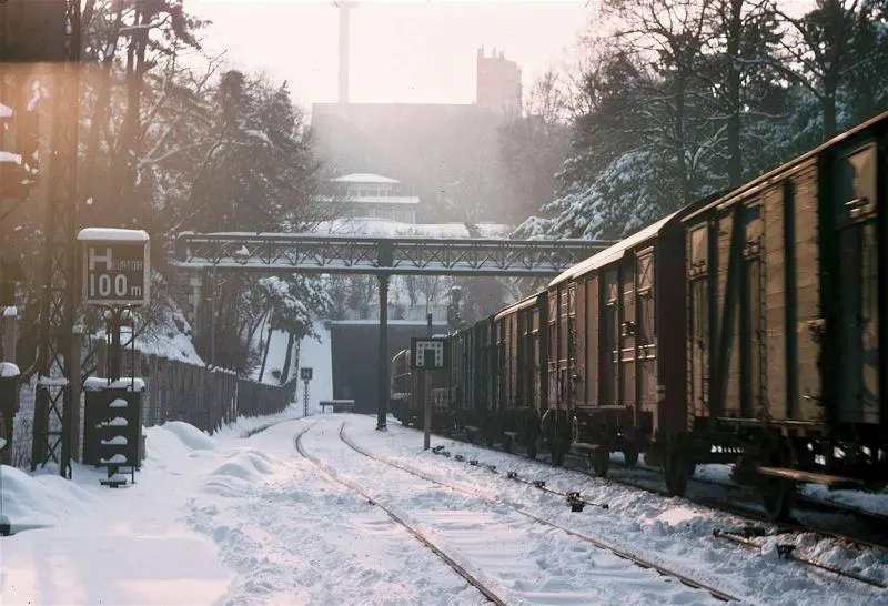 Train de marchandises dans la tranchée du parc des Buttes-Chaumont 
