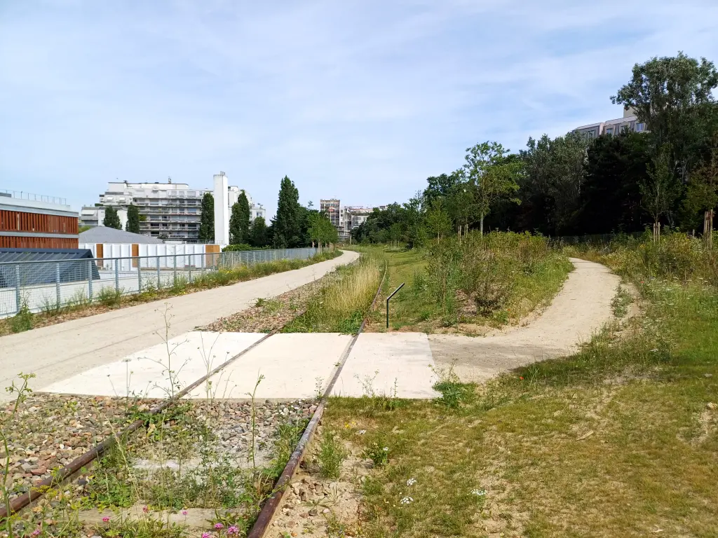 Vue de la promenade sur les rails et Bois de Charonne sur la surlargeur de la Petite Ceinture