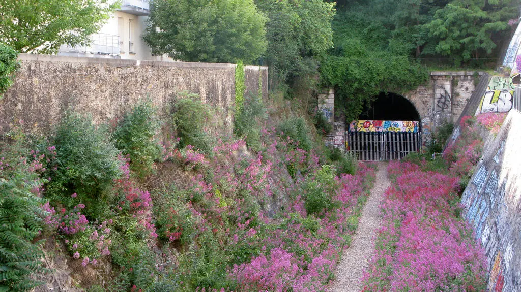 Tranchée de la rue de Bagnolet